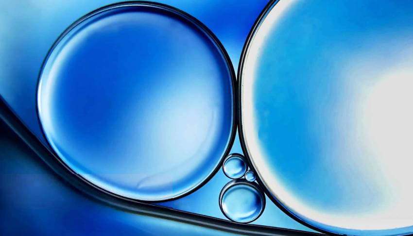 龙湾区包装设计